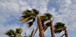 Vientos en Canarias este martes, 2 de septiembre