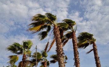 Viento fuerte en Canarias con cielos nubosos en el norte de las islas montañosas este sábado