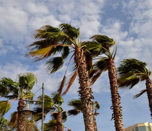 Viento fuerte en Canarias con cielos nubosos en el norte de las islas montañosas este sábado