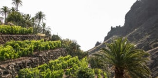 El Cabildo incrementa hasta los 620 mil euros los incentivos al sector primario