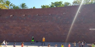 Todo un éxito la jornada ‘Conecta en familia’ del PFAE de Garantía Juvenil de San Sebastián de La Gomera