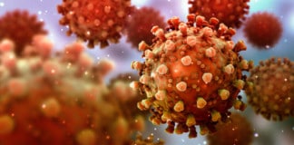 Sanidad comunica 216 casos de COVID-19 en las últimas 24 horas