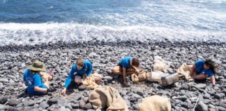 El Cabildo colabora con las limpiezas de playas previstas para este sábado en La Gomera