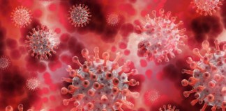 Sanidad constata 1.393 nuevos casos de COVID-19 en personas de más de 60 años en los últimos cuatro días