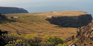 Estampas de La Gomera Vaciada: La Mérica