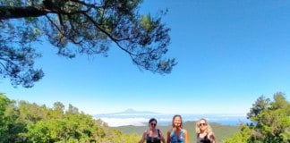 Agentes de viajes belgas visitan La Gomera para promocionar la oferta turística de la isla