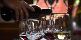 La Universidad de La Laguna prepara la primera guía de enoturismo de Canarias