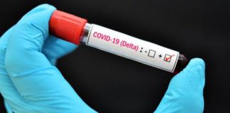 La Gomera alcanza los 51 activos al sumar 8 nuevos casos este jueves