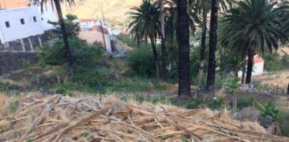 Iniciativa por La Gomera alerta del estado que muestran muchos espacios de la isla para la expansión de incendios forestales