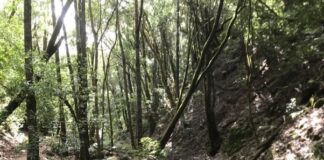 Obra Social La Caixa colabora en actividades de verano para familias bajo la coordinación de Radio ECCA