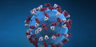 La Gomera suma 13 casos nuevos por covid-19