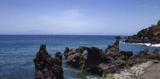 El CEIO se opone rotundamente a la construcción del puerto de Fonsalía