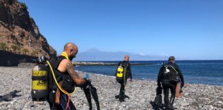 En marcha la campaña de control del erizo de lima en las playas de San Sebastián de La Gomera