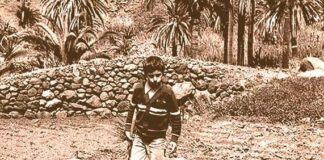 SERIE: LA CUESTIÓN DEL AGUA EN LA GOMERA. CAPÍTULO 1: Gomeros, Condes y Dulas