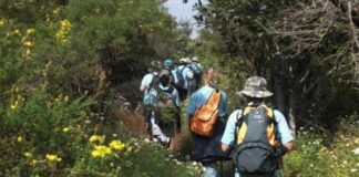 La Gomera acuerda postularse para albergar la sede de la Agencia Europea del Turismo