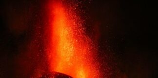 Acción solidaria con La Palma del Departamento de Hostelería del IES San Sebastián de La Gomera