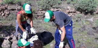 Atusos Gomera inicia proyecto para compensar la huella de carbono de los visitantes de la Isla