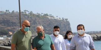 El Cabildo creará una línea de ayuda destinada a la adquisición de vehículos eléctricos