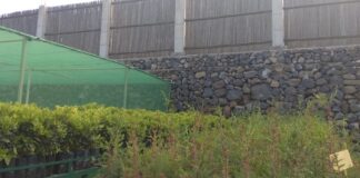 La Unidad de Medio Ambiente participa en un curso sobre gestión de especies de flora y hábitats en Canarias