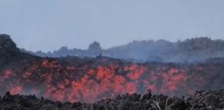 Los expertos de Involcan piden “ponerse las pilas” para afrontar el riesgo volcánico en Canarias, que va en aumento