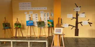 El Cabildo de La Gomera desarrolla acciones de sensibilización en salud mental