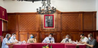 Celebrada la primera comisión de seguimiento del Convenio entre los Ayuntamientos de la isla y Pro Animal