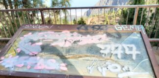 El Gobierno canario alerta de actos vandálicos en señalética y cartelería de espacios naturales protegidos incluido el Garajonay