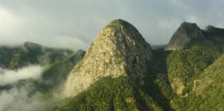 Arranca el proceso de renovación de la Carta Europea de Turismo Sostenible de La Gomera con la celebración de la 18ª Edición del Foro