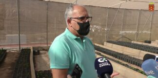 El Cabildo crea el primer semillero de café de La Gomera