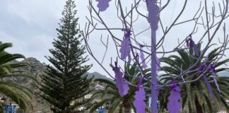 Vallehermoso planta un “árbol simbólico” contra la violencia de género