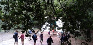 Se publican las 100 acciones más destacadas de las empresas Carta Europea de Turismo Sostenible en La Gomera