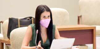 Melodie Mendoza: “Estas son las cuentas que necesita Canarias para avanzar en la reconstrucción social y económica”