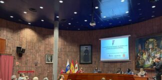 Cabildo y Funcasor avanzan en una estrategia para mejorar la calidad de vida de personas con sordera