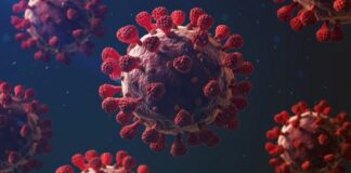 Sanidad constata 1.682 nuevos casos de COVID-19 en personas de más de 60 años en los últimos siete días en Canarias