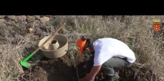 El Cabildo concluye el programa del Día insular del Árbol con una actividad de plantación y convivencia