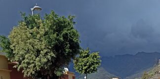 Corte de vía en Calle Pista de Las Palmitas en San Sebastián de La Gomera