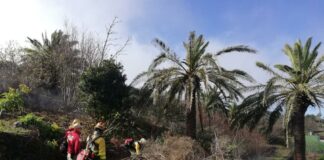 El Pleno da luz verde al convenio entre Cabildo y Transición Ecológica para restaurar hábitats degradados