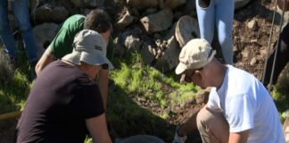 La Gomera fomenta la reducción de la huella de carbono con una iniciativa de plantación de árboles