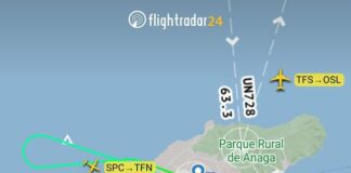 Un avión que despegaba de Tenerife Norte con destino a La Gomera impacta con una bandada de palomas