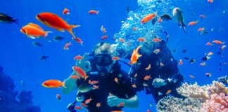 Beneficios de practicar buceo