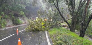 El operativo de carreteras actúa en una veintena de incidencias por fenómenos meteorológicos  en La Gomera