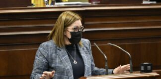 El PP exige el despliegue de la Policía Canaria en las islas no capitalinas