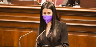 Mendoza apuesta reforzar la inspección laboral para reducir la brecha salarial en Canarias