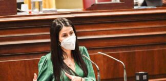 Mendoza (ASG) propone aumentar los medios aéreos para traslados sanitarios y mejorar las helisuperficies