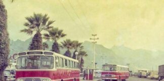 Su rostro me acompañó