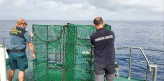 Incautan nasas de pesca ilegales en Tenerife y La Gomera