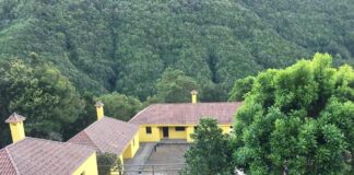 El Cabildo aprueba el proyecto de mejora del Aula de la Naturaleza de El Cedro