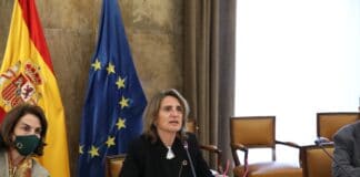 El Consejo de la Red de Parques Nacionales toma conocimiento de la propuesta de declaración del nuevo parque nacional marino de El Hierro