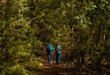 Transición destinó 587.800 euros para la dinamización socioeconómica de los entornos de los parques nacionales