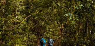 La televisión pública alemana ZDF graba en La Gomera un reportaje sobre sus valores naturales